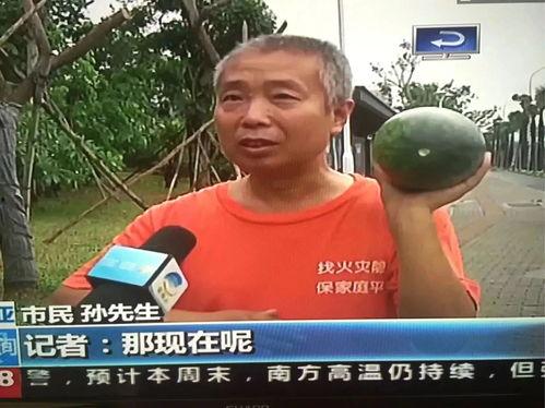 热门事件吃瓜群,吃瓜群里的真相与热议