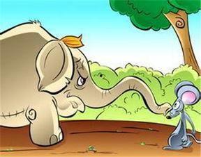 睡前故事老鼠吃瓜,老鼠的甜蜜瓜果盛宴