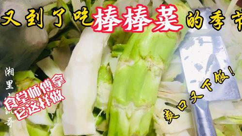 郯城老师吃瓜,一场校园风波背后的真相与反思