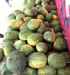 吃瓜707号,一场关于瓜子的传奇故事