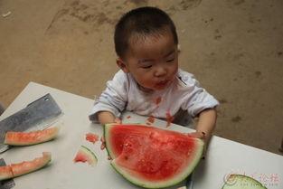 唐僧 吃瓜,唐僧的瓜田奇遇记