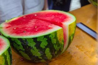 松滋某校吃瓜,揭秘校园生活趣味瞬间