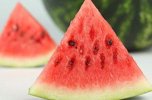 吃瓜怪吃西瓜,西瓜盛宴开启夏日狂欢