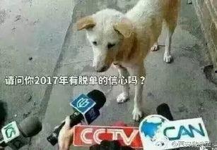 卧槽吃瓜视频下载,揭秘热门事件背后的真相