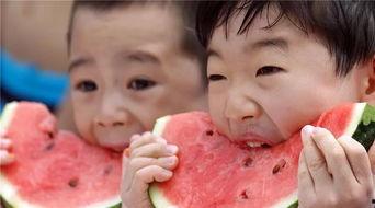 吃瓜先锋国小胖,揭秘娱乐圈幕后趣闻