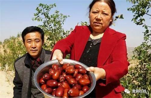 清涧县吃瓜,瓜果飘香，品味乡愁