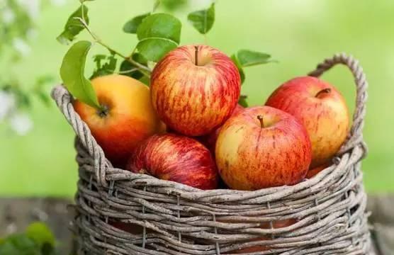 吃瓜网站免费入口苹果,吃瓜网站免费入口苹果版，畅享娱乐新体验！