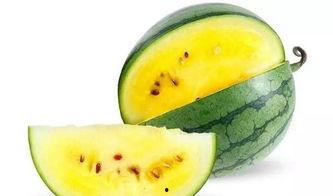 怎么又去瓜地吃瓜,揭秘“怎么又去瓜地吃瓜”的欢乐时光