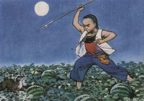 吃瓜少年李猹,揭秘娱乐圈背后的真相与笑料