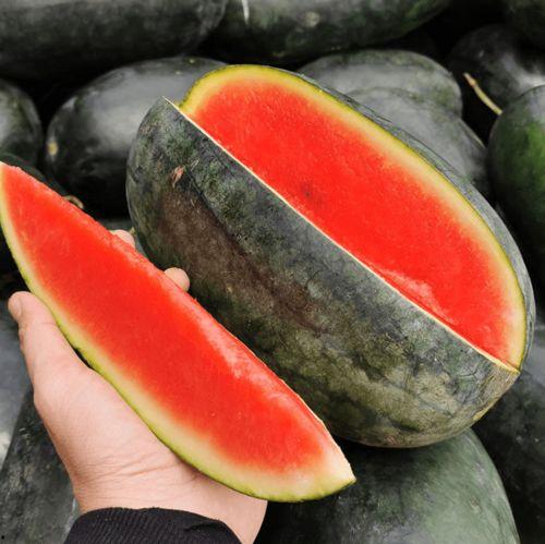 吃一万个瓜,一万个瓜背后的故事与启示