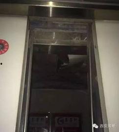 西安电梯吃瓜