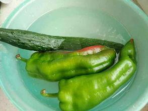 小辣瓜怎么吃,轻松解锁美味新体验