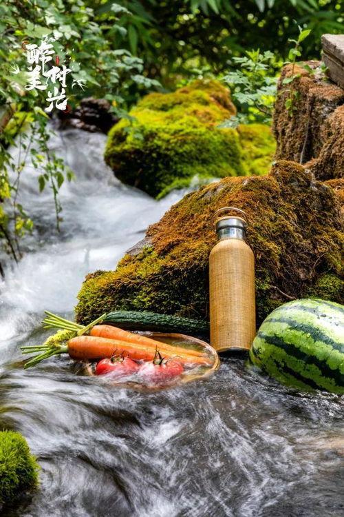 云南丽江吃瓜,探寻云南美食之旅