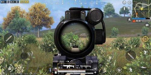 和平精英比赛吃瓜,吃瓜群众见证传奇诞生