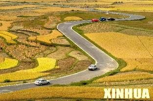 贵阳高坡吃瓜,夏日避暑吃瓜，体验乡村田园风情