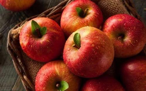 网文吃瓜像苹果