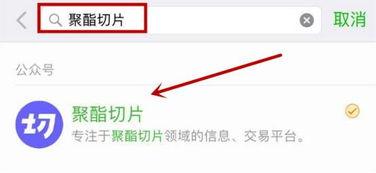 排队吃瓜软件,轻松掌握热门话题，畅享网络盛宴